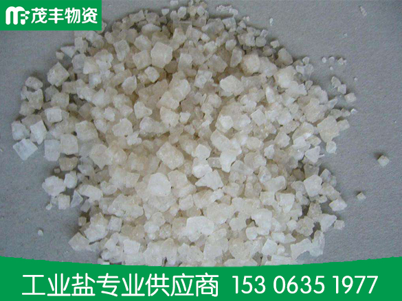 工业盐的资源化利用