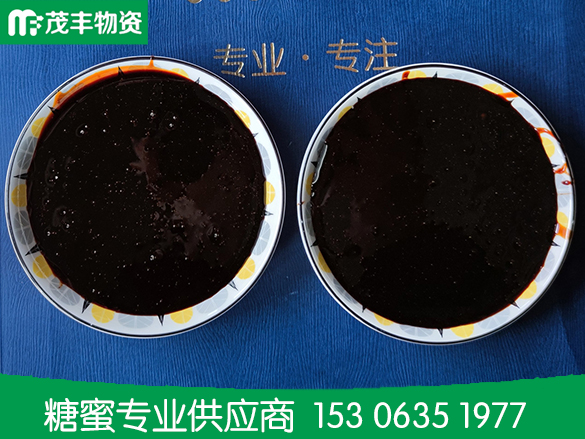糖蜜在奶牛瘤胃中的代谢特点及作用机理